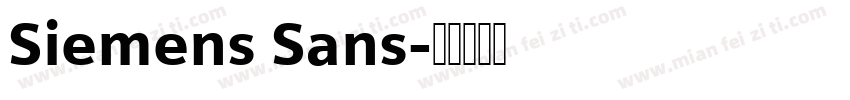 Siemens Sans字体转换